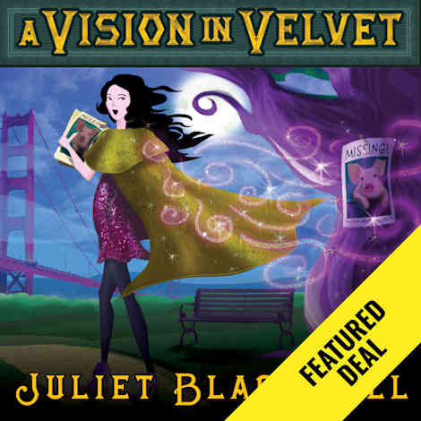 A Vision in Velvet by Juliet Blackwell