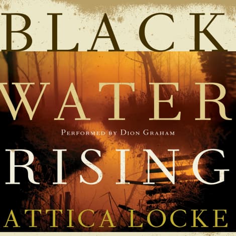 Black Water Rising by Attica Locke
