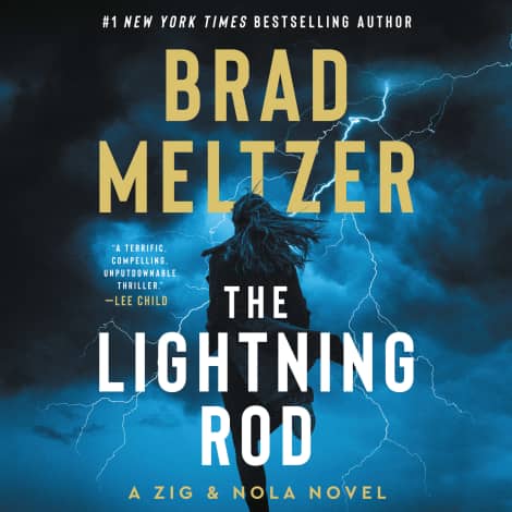 The Lightning Rod by Brad Meltzer