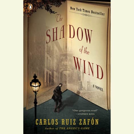 The Shadow of the Wind by Carlos Ruiz Zafón
