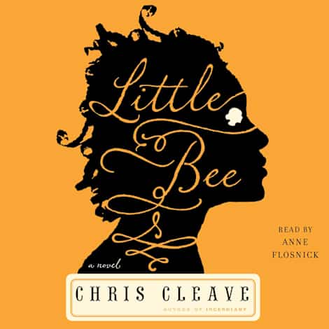 Little Bee by Chris Cleave