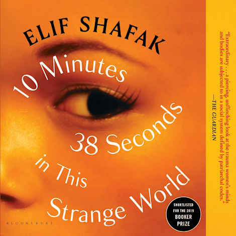10 Minutes 38 Seconds in This Strange World by Elif Shafak