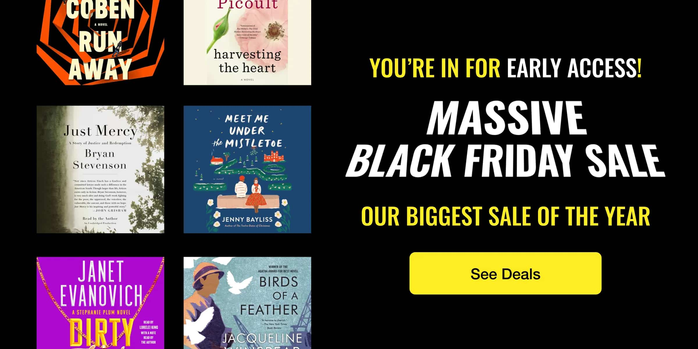 Early Access / Massive Black Friday Sale